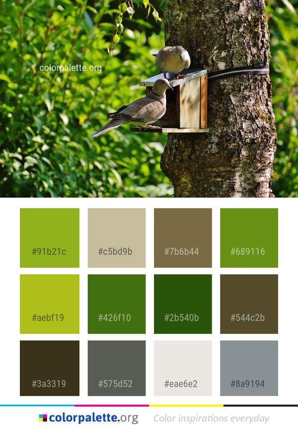 Bird Fauna Ecosystem Color Palette