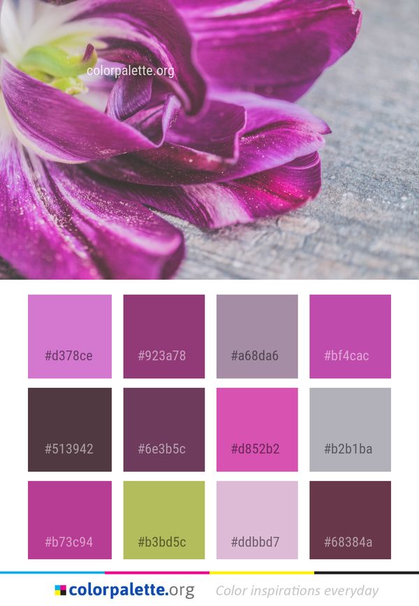Flower Violet Purple Color Palette