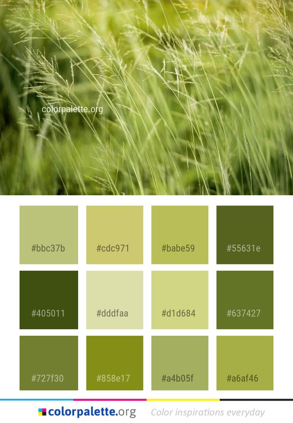 Grass Green Vegetation Color Palette