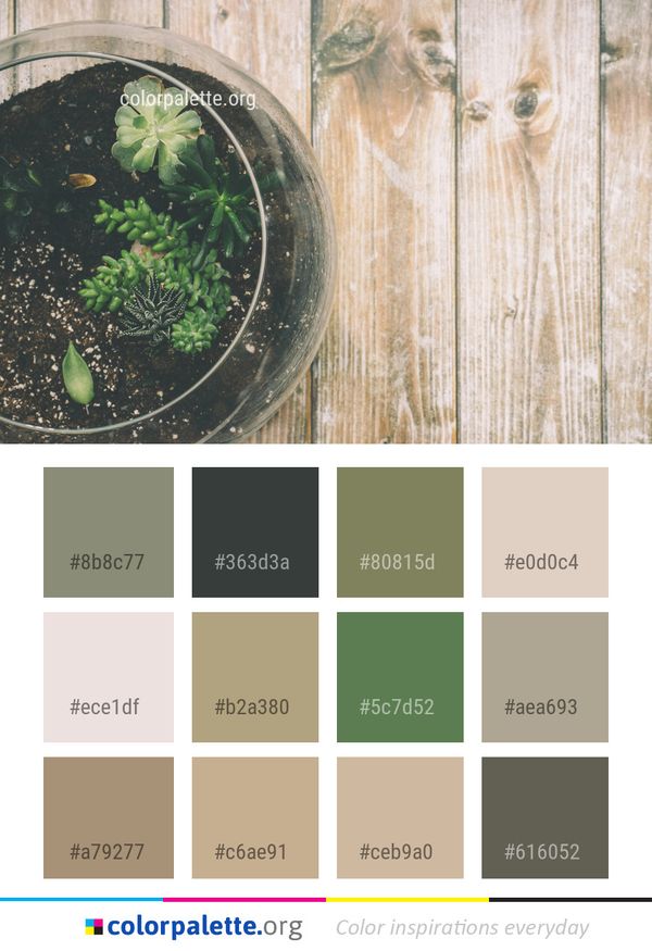 Green Leaf Flora Color Palette