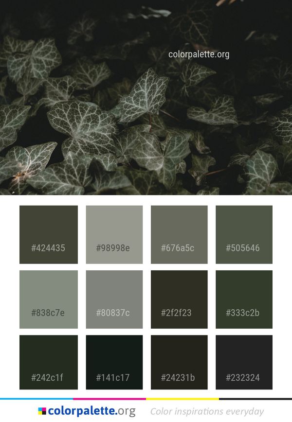 Leaf Plant Flora Color Palette