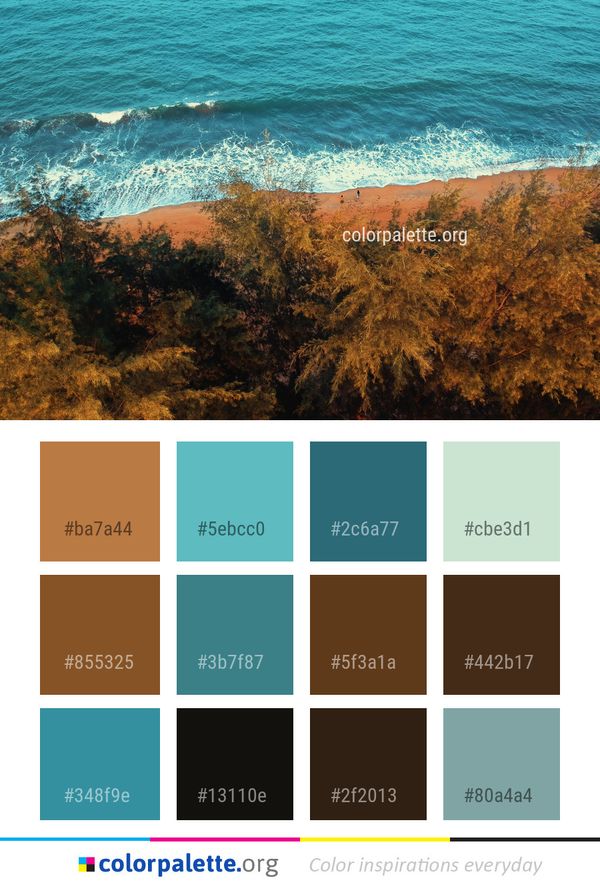 Sea Ecosystem Shore Color Palette