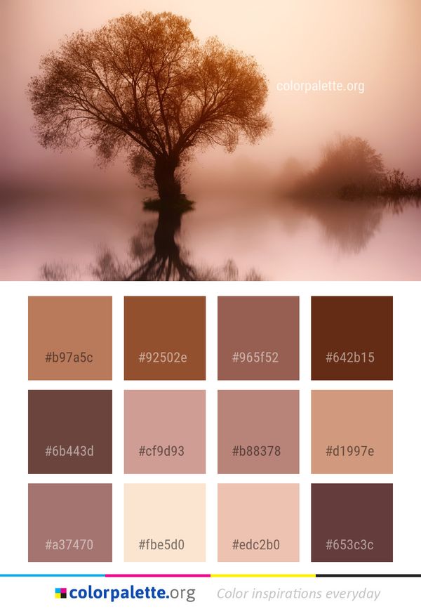 Tree Sky Morning Color Palette