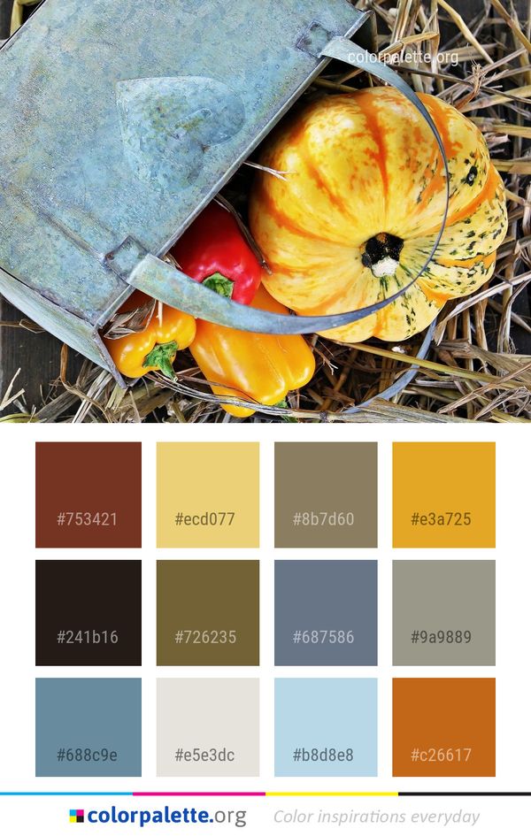 Winter Squash Cucurbita Vegetable Color Palette