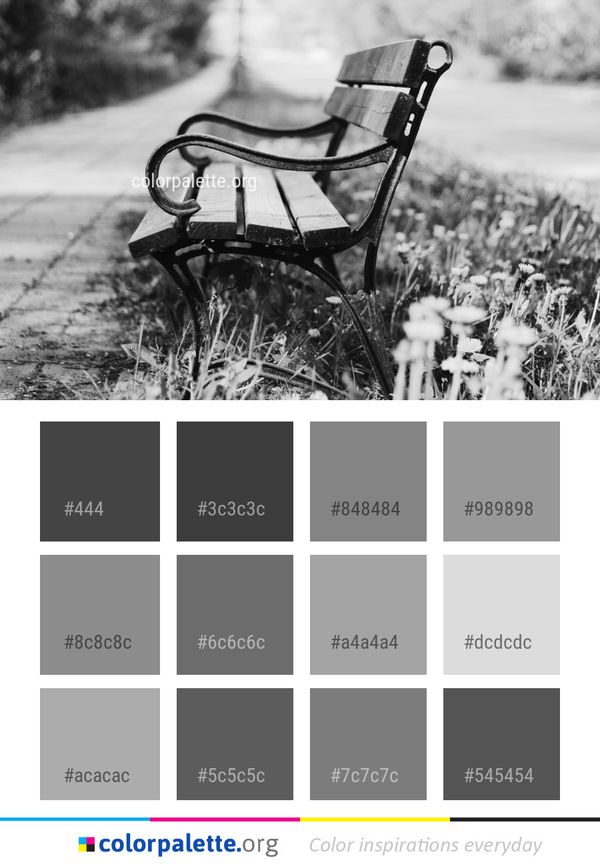 Black And White Monochrome Photography Tree Color Palette