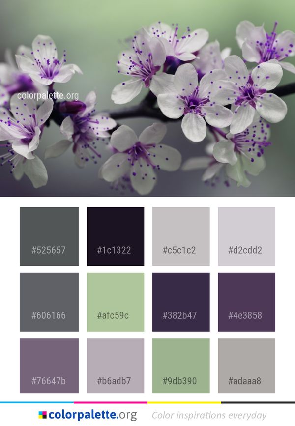 Flower Purple Violet Color Palette