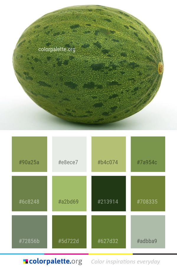 Melon Produce Fruit Color Palette