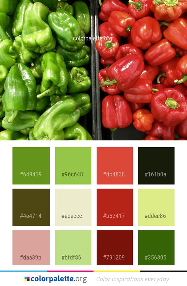 Natural Foods Vegetable Local Food Color Palette
