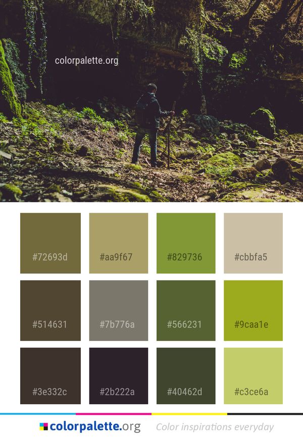 Nature Vegetation Forest Color Palette