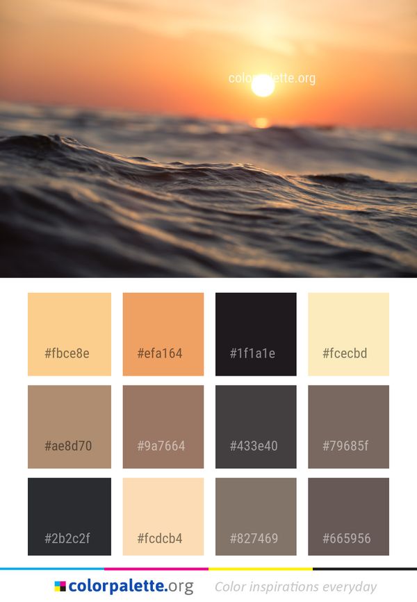 Sea Wave Ocean Color Palette