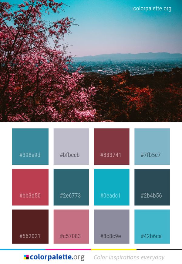 Sky Nature Tree Color Palette