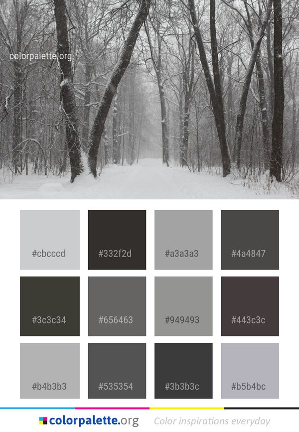 Snow Winter Tree Color Palette