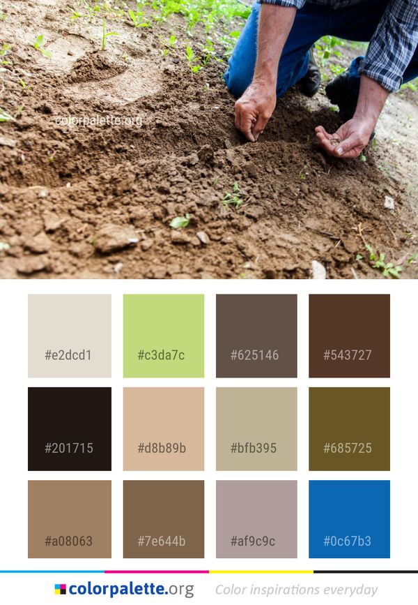 Soil Geological Phenomenon Plant Color Palette