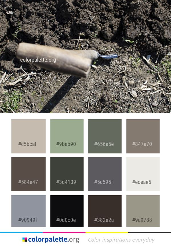 Soil Grass Family Color Palette