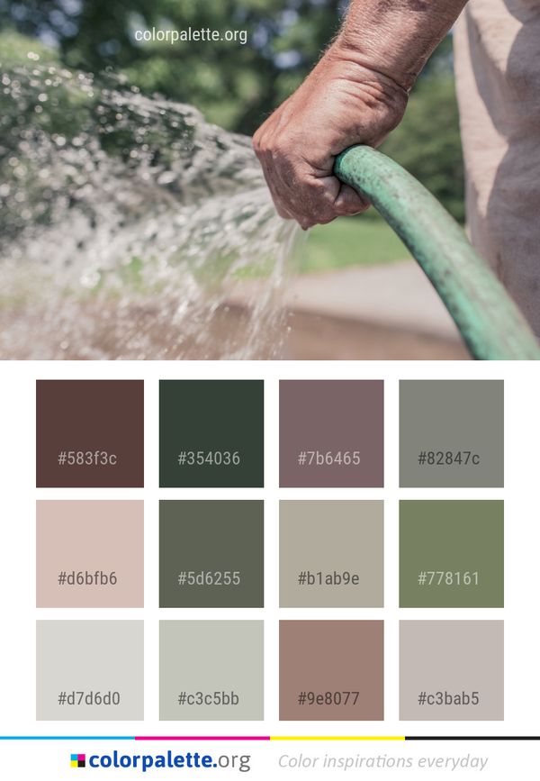 Water Hand Grass Color Palette