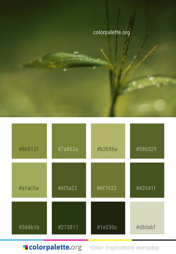 Water Leaf Dew Color Palette