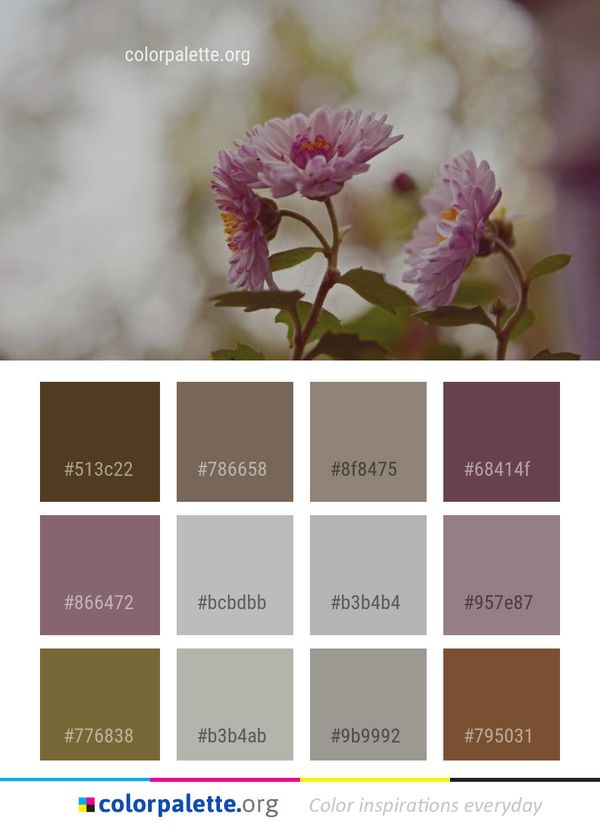 Flower Pink Flora Color Palette