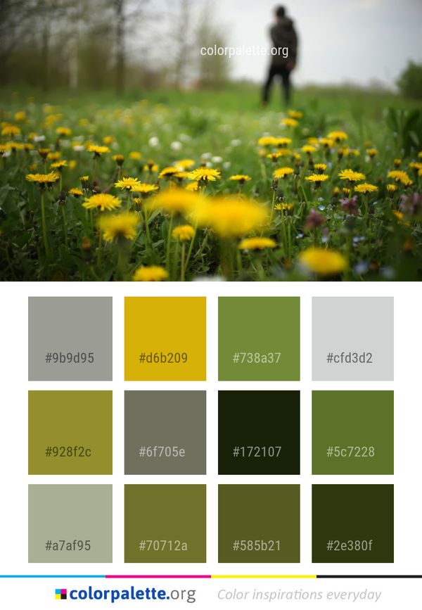 Flower Yellow Field Color Palette