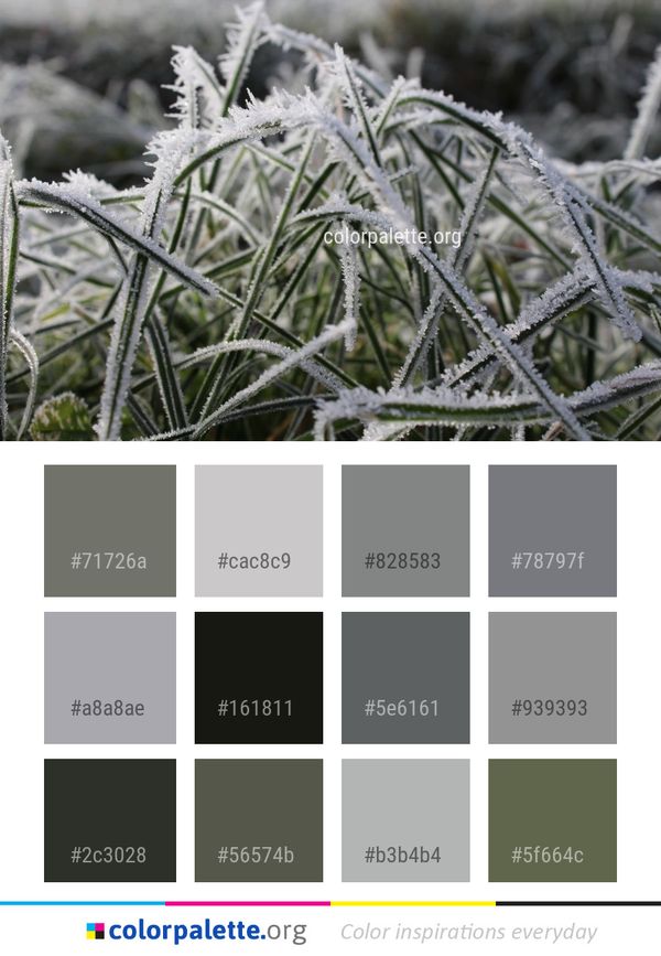 Frost Freezing Flora Color Palette