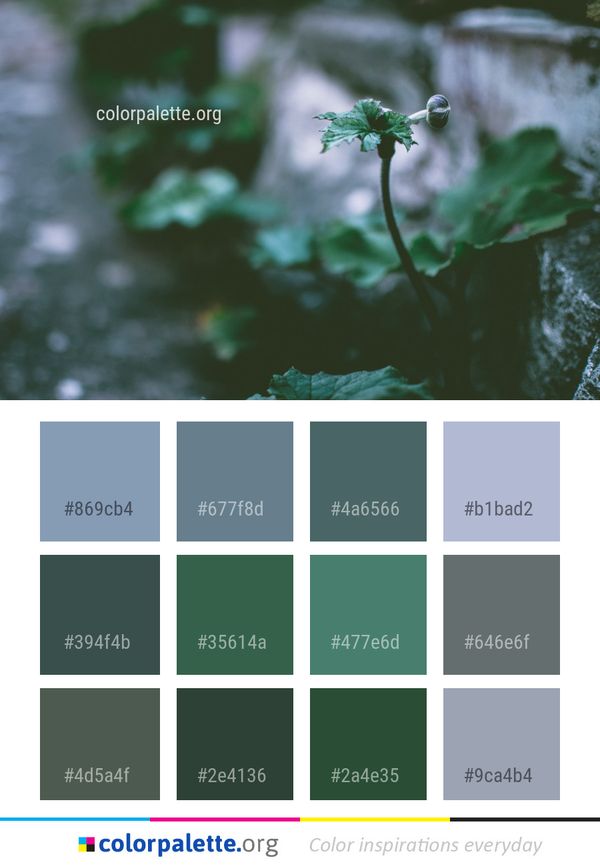 Green Flora Water Color Palette