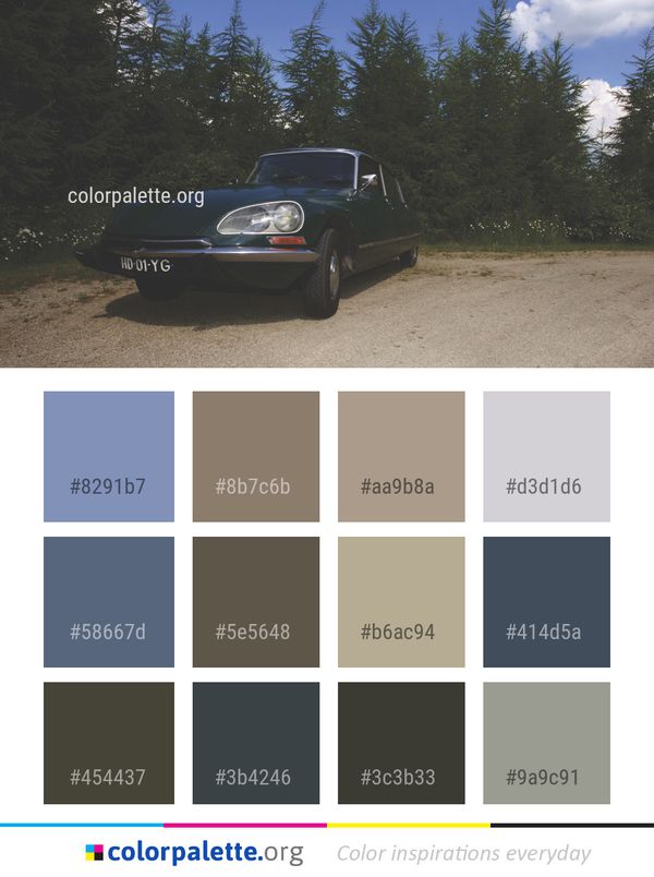 Motor Vehicle Car Automotive Design Color Palette