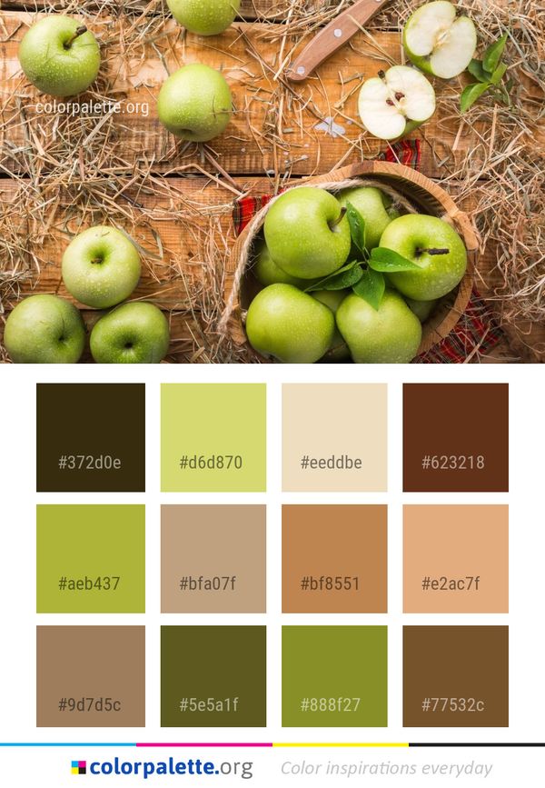 Natural Foods Fruit Apple Color Palette