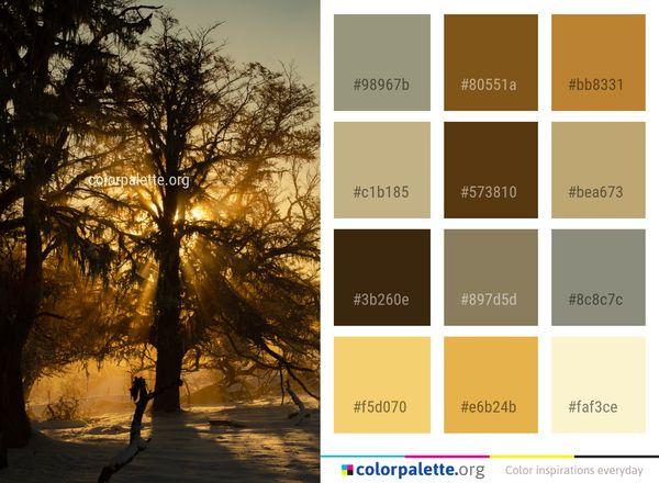 Nature Tree Light Color Palette