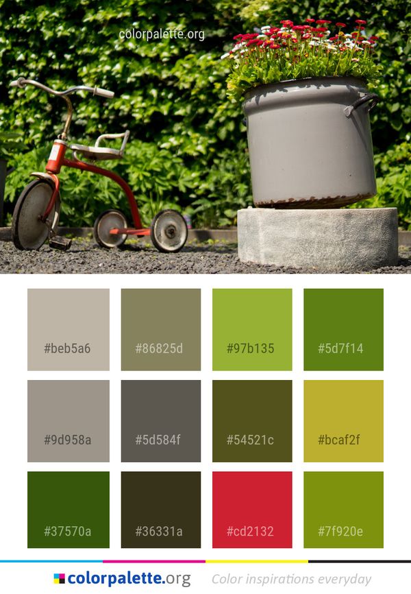 Plant Grass Lawn Color Palette
