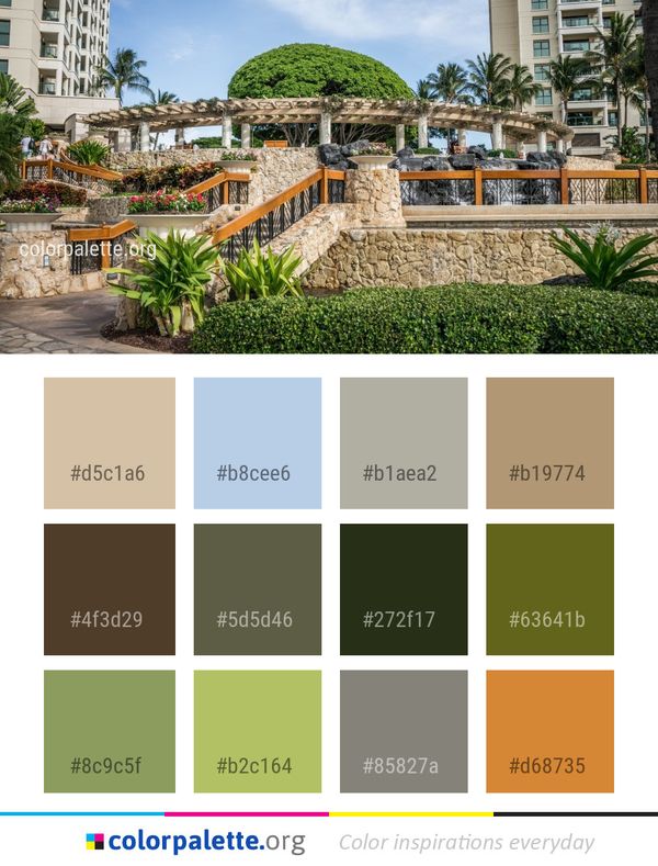 Property Plant Arecales Color Palette