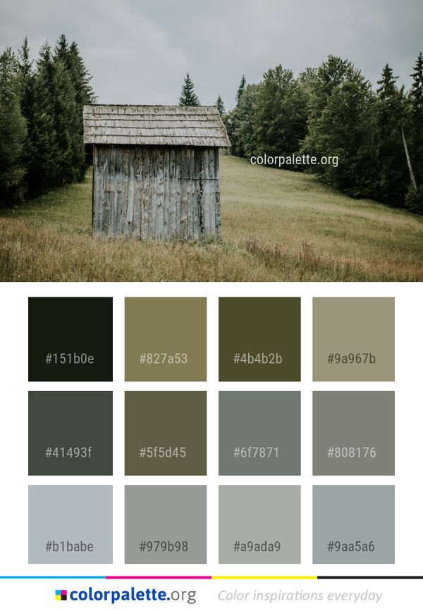 Sky Tree Rural Area Color Palette