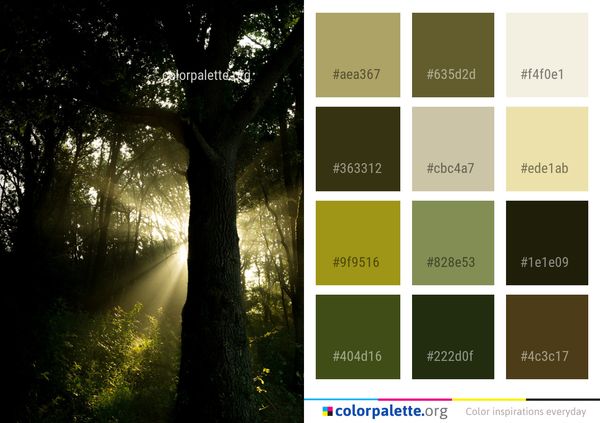 Woodland Nature Tree Color Palette