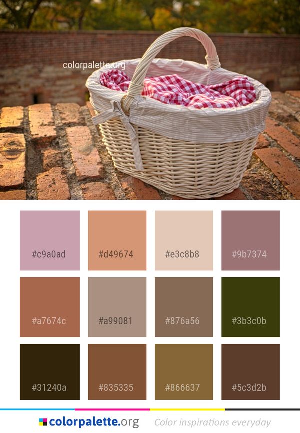 Basket Gift Color Palette