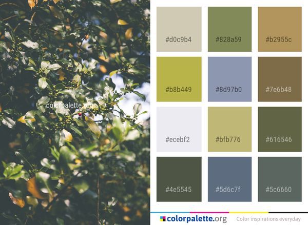 Flora Plant Leaf Color Palette