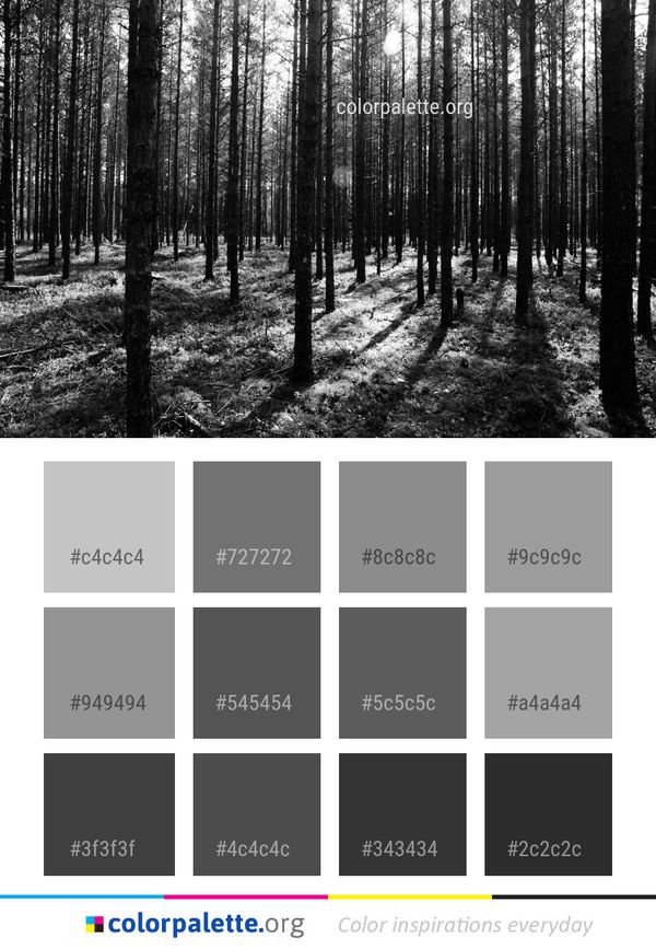 Forest Tree Black Color Palette