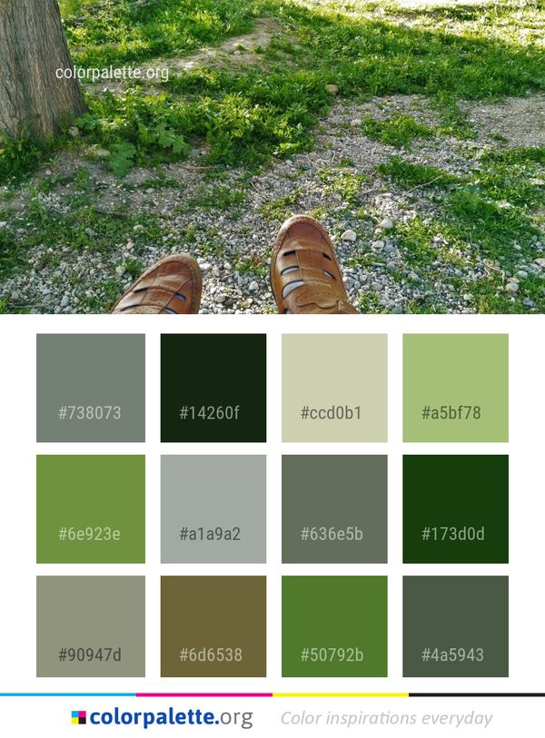 Grass Ecosystem Plant Color Palette