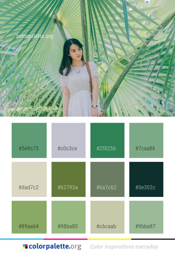 Green Photograph Beauty Color Palette