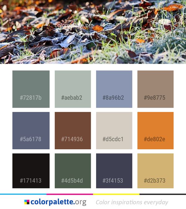 Leaf Plant Grass Color Palette