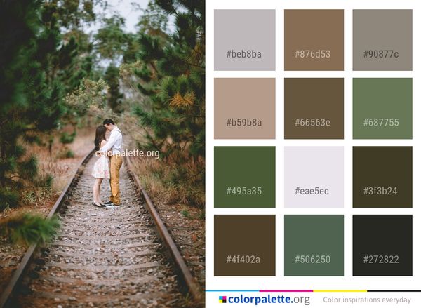 Photograph Path Track Color Palette