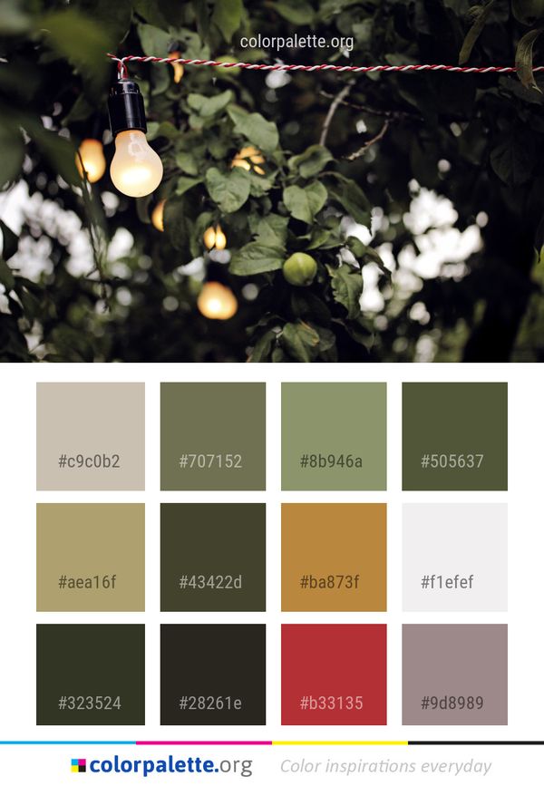 Plant Flora Leaf Color Palette