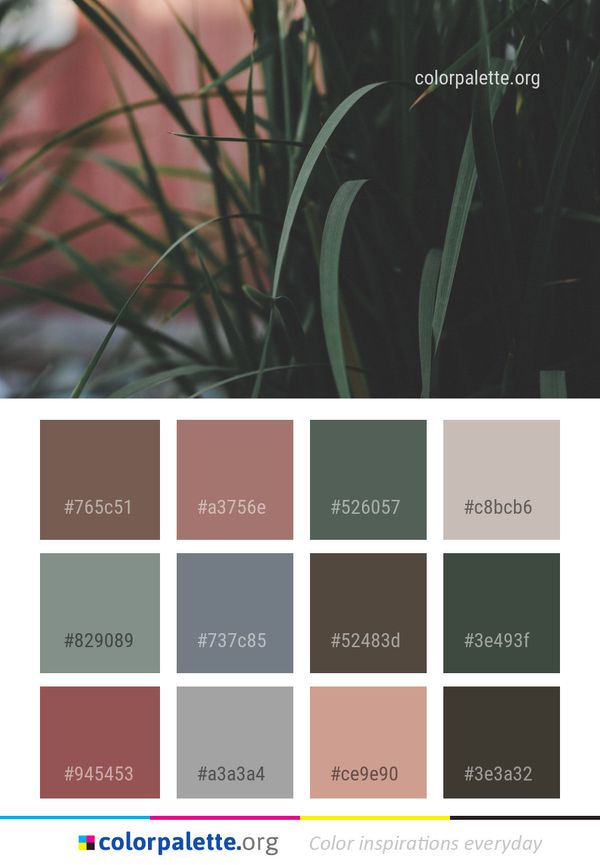 Plant Flora Leaf Color Palette