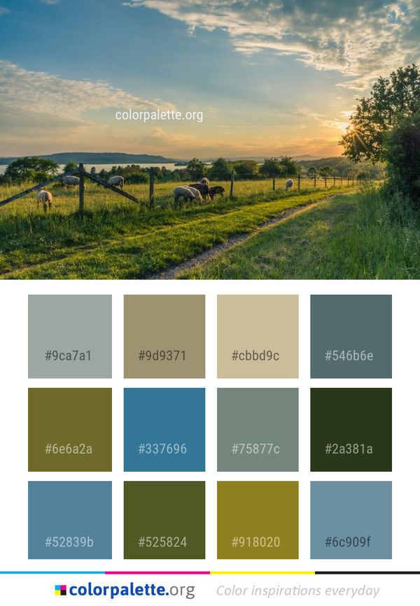 Sky Grassland Cloud Color Palette