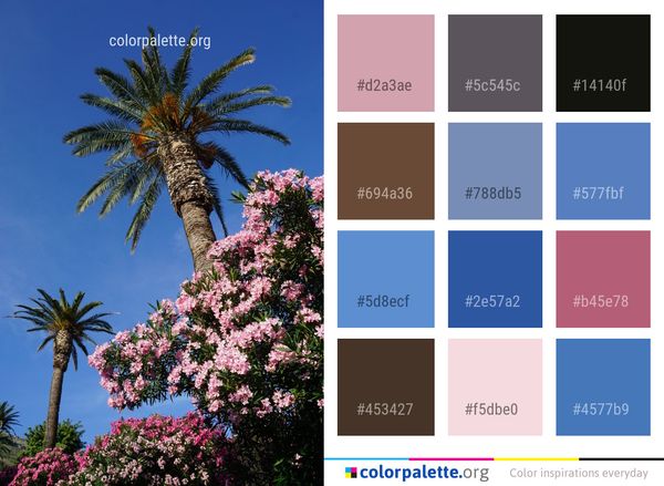 Sky Plant Tree Color Palette