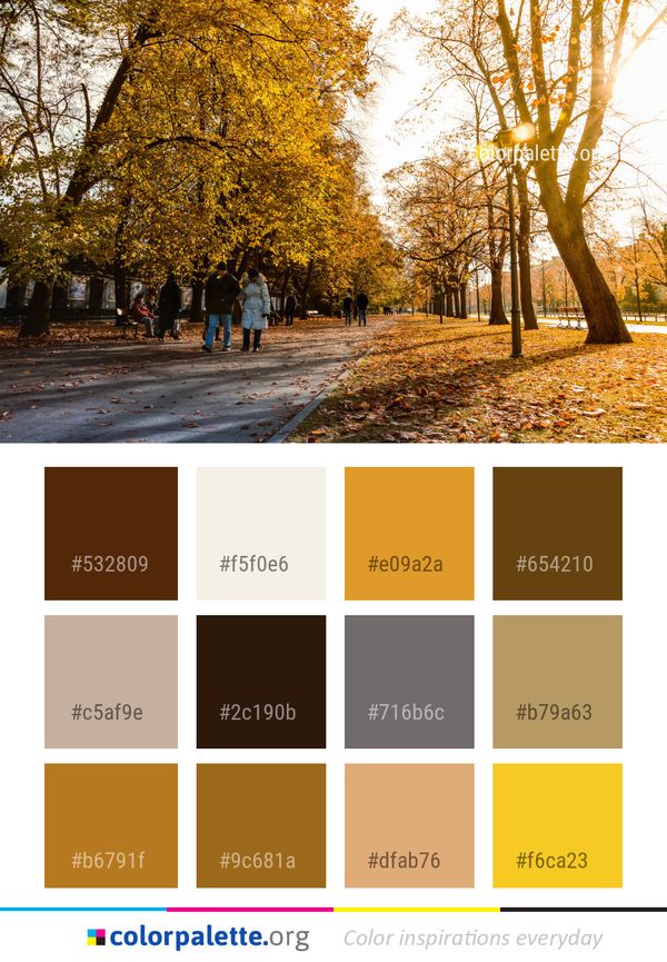 Tree Nature Leaf Color Palette