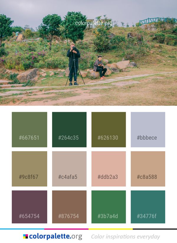 Tree Plant Path Color Palette