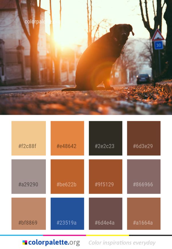 Yellow Light Sunlight Color Palette