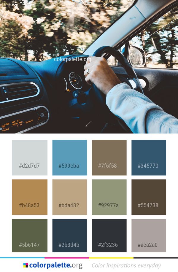 Car Motor Vehicle Color Palette
