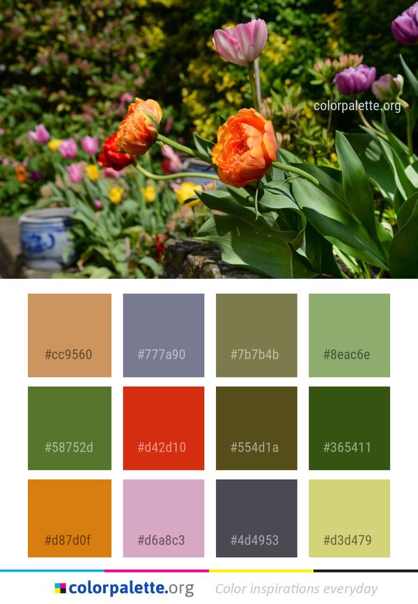 Flower Plant Flowering Color Palette