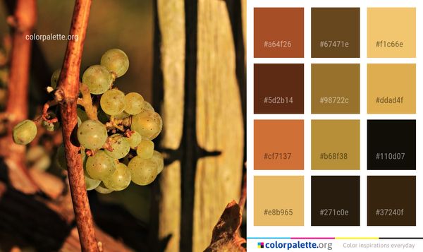 Grapevine Family Plant Fruit Color Palette