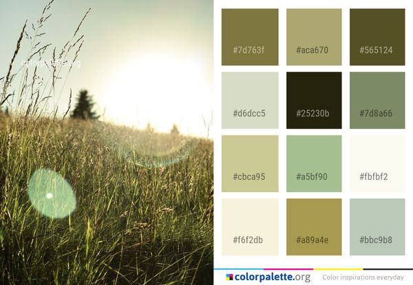Grass Green Grassland Color Palette