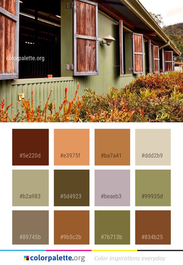 Home House Property Color Palette